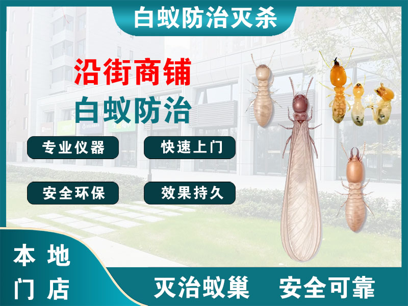 广陵沿街商铺白蚁防治