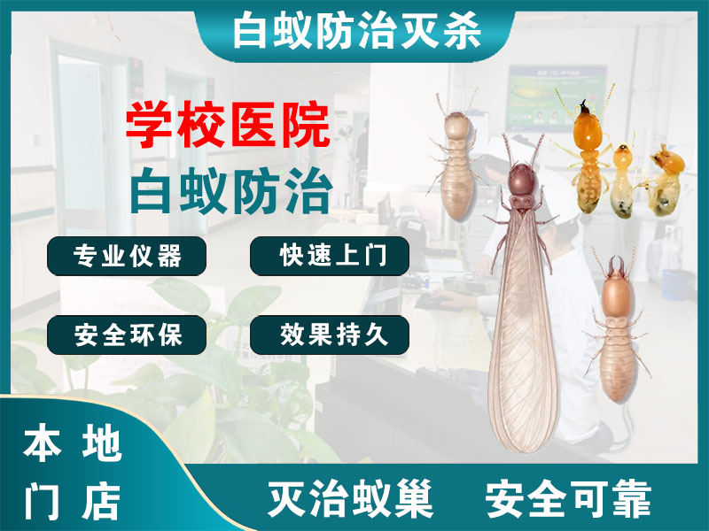 广陵学校医院白蚁防治