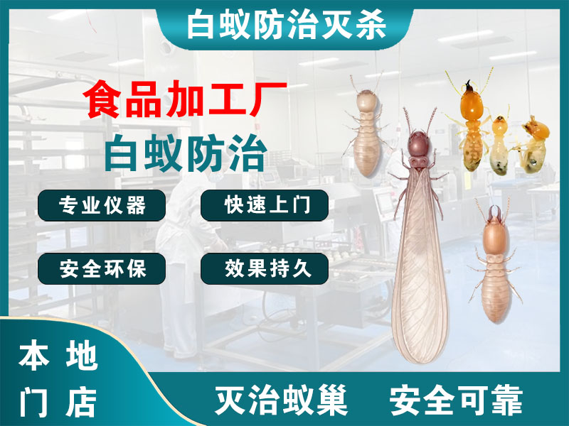 广陵食品加工厂白蚁防治