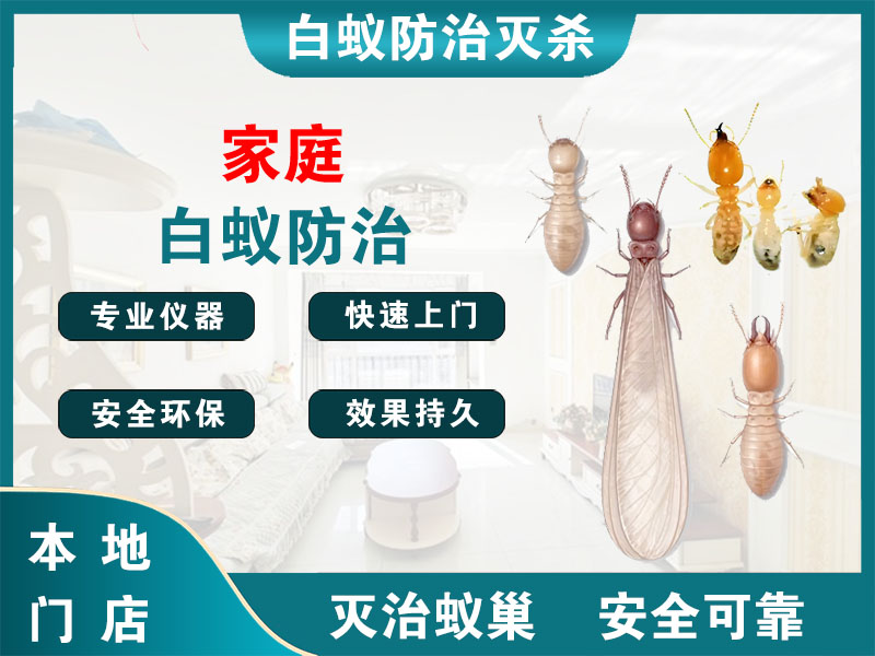 广陵家庭白蚁防治