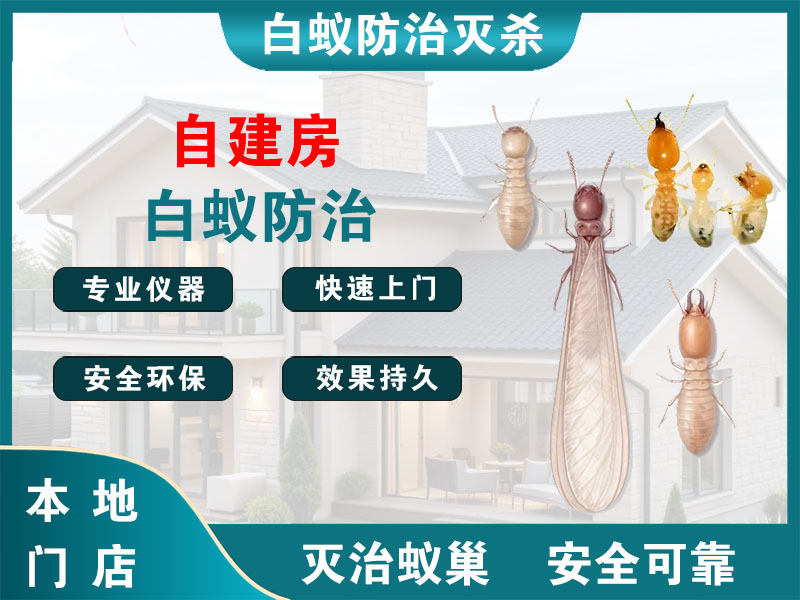 广陵自建房白蚁防治