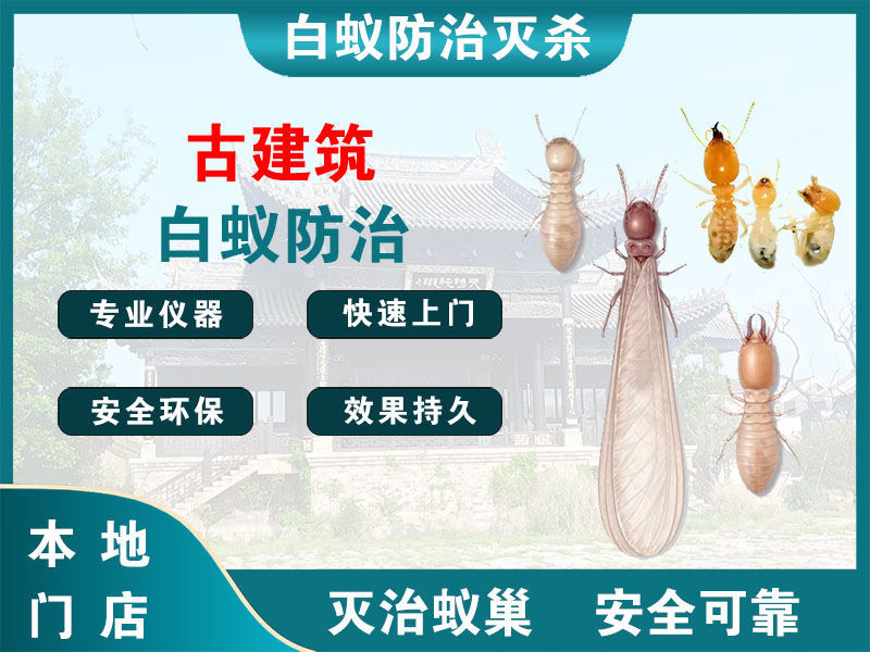 广陵古建筑白蚁防治
