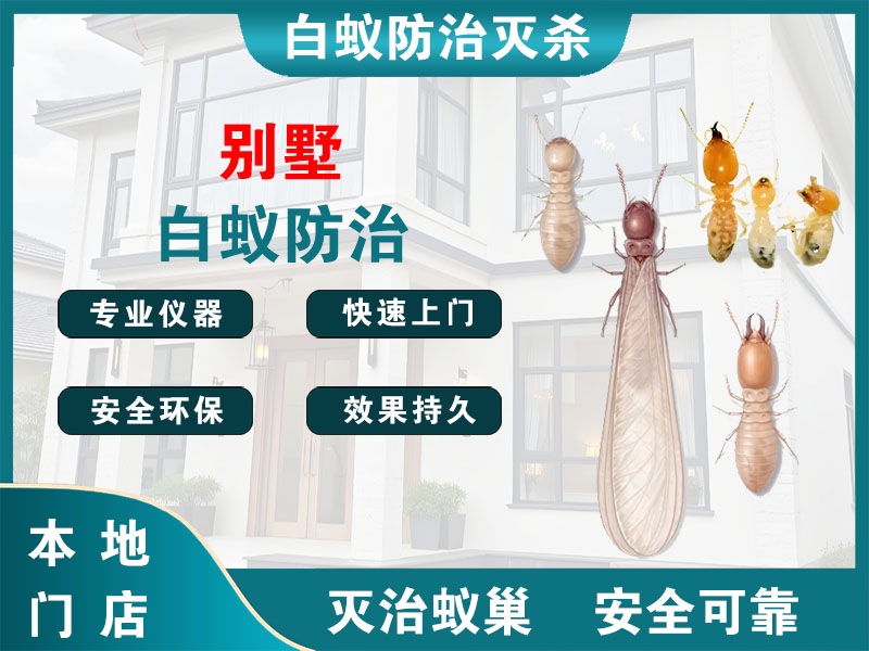 广陵别墅白蚁防治