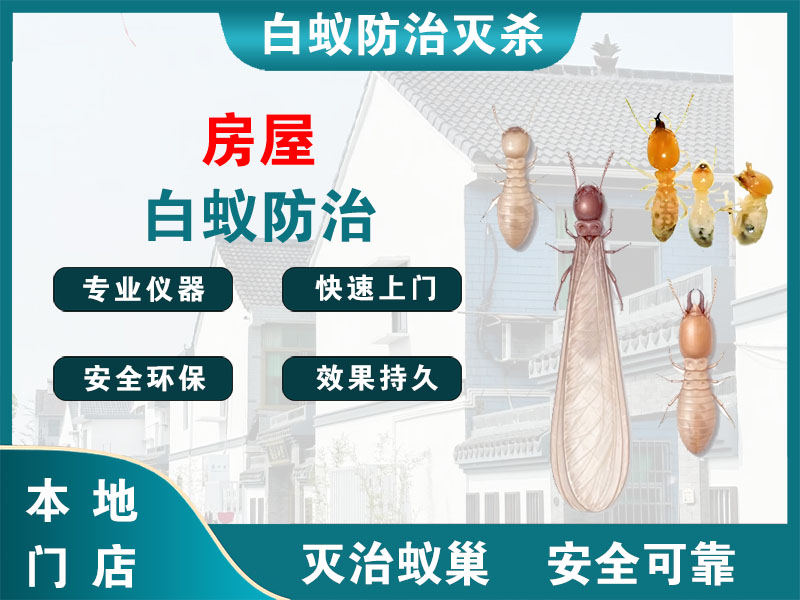 广陵房屋白蚁防治